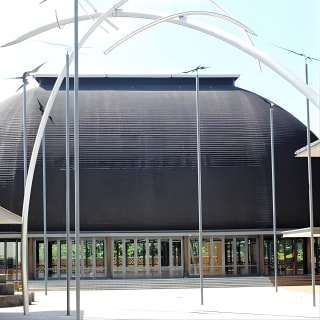 Hidden Culture of Central Auckland, walk and morning tea 1