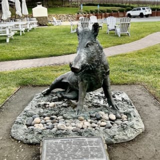 Wine Country : visite d'une demi-journée au départ de San Francisco 3