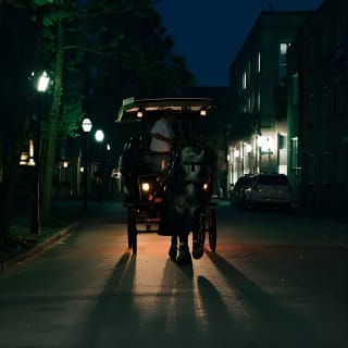 Haunted Evening Horse and Carriage Tour of Charleston 4