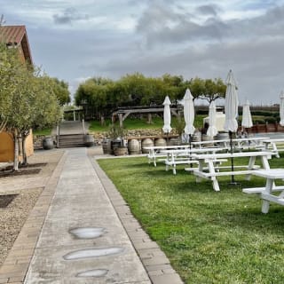 Wine Country : visite d'une demi-journée au départ de San Francisco 4