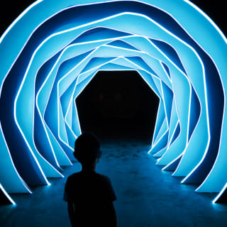 OTHERWORLD: An Immersive Art and Light Experience 4