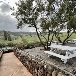 Wine Country : visite d'une demi-journée au départ de San Francisco 5