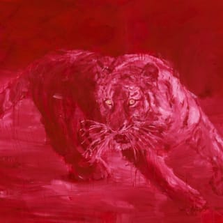 Palazzo Strozzi: Anish Kapoor. Non vero, non reale 11