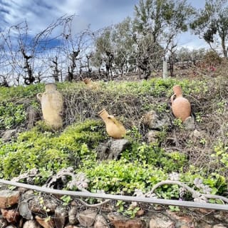 Wine Country : visite d'une demi-journée au départ de San Francisco 6