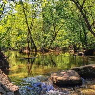 Hiking the James River in Richmond, VA 7