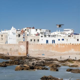 Depuis Marrakech : Excursion d'une journée à Essaouira 12