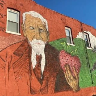Strawberry Hill and Downtown KCK Hike 1