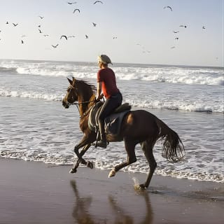 Cartagena: Paseo a Caballo por la Playa de Día o al Atardecer 5