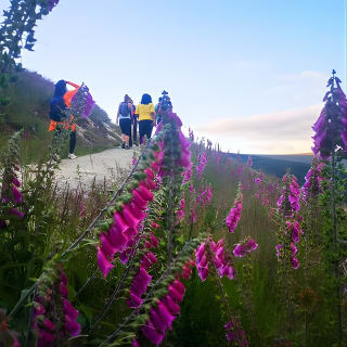 Glendalough Night Hike and History Tour 4