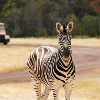 Werribee Open Range Zoo General Admission Ticket 5