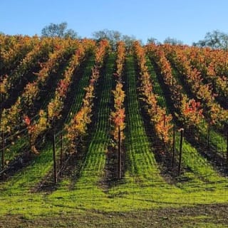 Wine Country : visite d'une demi-journée au départ de San Francisco 16