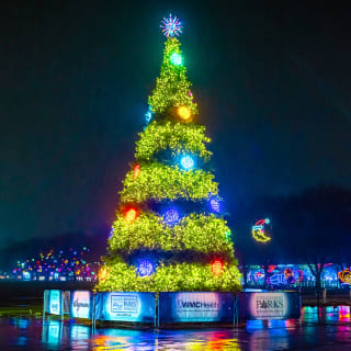 Westchester's Winter Wonderland 4