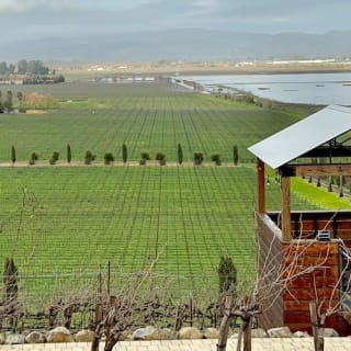Wine Country : visite d'une demi-journée au départ de San Francisco 17