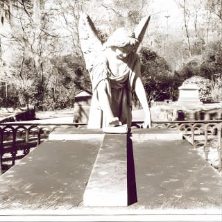 La visita al cementerio de Laurel Grove 5