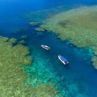 Whitsundays Ocean Rafting: Snorkel, Walk & Whitehaven Beach 7