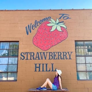 Strawberry Hill and Downtown KCK Hike 7