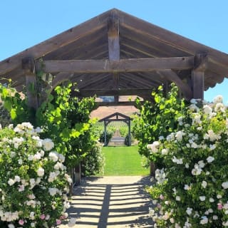 Wine Country : visite d'une demi-journée au départ de San Francisco 23