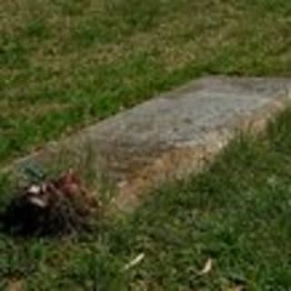 Yorktown Battlefield Self-Guided Driving Audio Tour 8