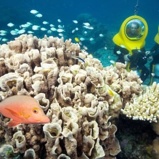 Great Barrier Reef Adventure 3