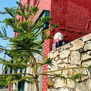 Strawberry Hill and Downtown KCK Hike 9
