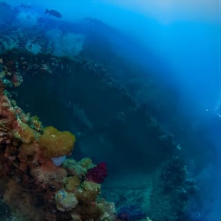 Scuba Dive the S.S. Yongala Wreck on the Great Barrier Reef.  2