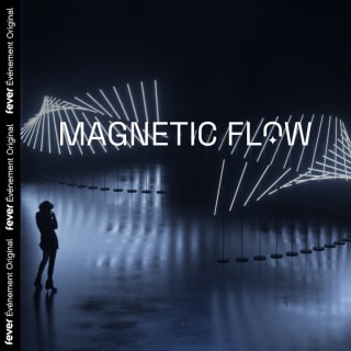 Magnetic Flow: een indrukwekkende tentoonstelling van geluid en licht 3