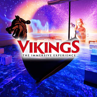 Vikings: The Immersive Experience 2
