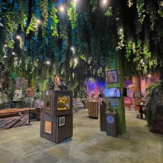 Ripleys Cancun 4