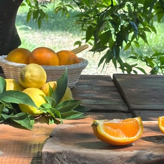 Soller Valley Walk with Orange Farm Visit 44