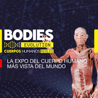 Bodies Evolution en Málaga 1