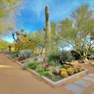 Springs Preserve & Nevada State Museum 2