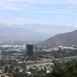 excursión en grupo reducido de 3 horas: De Hollywood a Beverly Hills 8