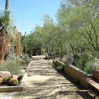 Springs Preserve & Nevada State Museum 3