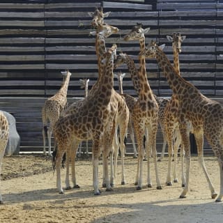 Billets pour le Parc Zoologique de Paris 5
