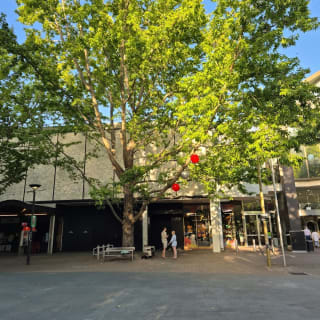 Canberra Murder Mystery: Solve the case in Kingston! 5
