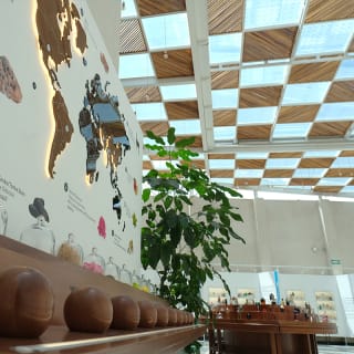Duftmuseum - Tlaquepaque 3