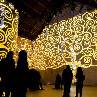 Gustav Klimt, Oro e Colore 6