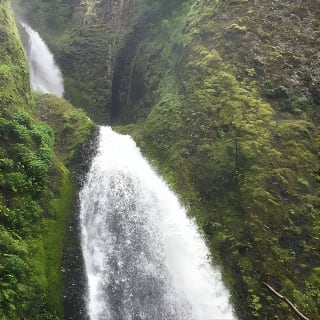 Explore Columbia River Gorge Half-Day Small-Group Tour  17
