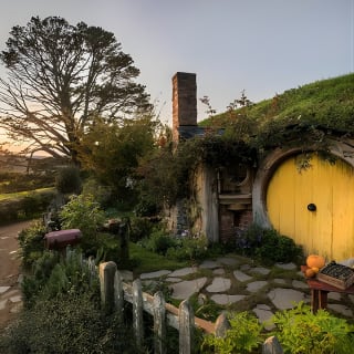 Waitomo & Hobbiton Guided Tour au départ d'Auckland 1