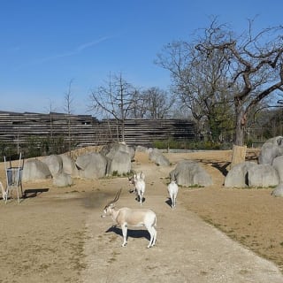 Billets pour le Parc Zoologique de Paris 4