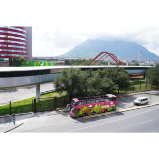 Novo Leone City Tour Hop On/ Hop Off (HOHO) 2