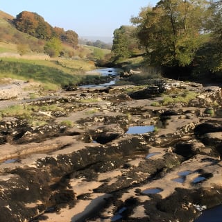 Full-Day Yorkshire Dales Tour from York 9