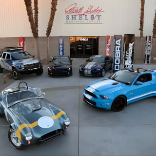 Las Vegas Reality Show VIP Tour 4