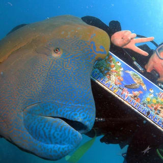 Great Barrier Reef Adventure 11