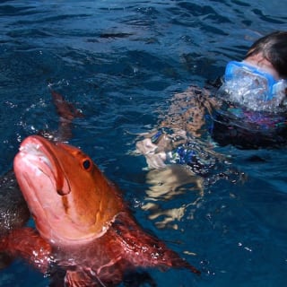 Great Barrier Reef Adventure 12