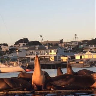 3-Hour Kayaking and Hiking in California’s Central Coast 22