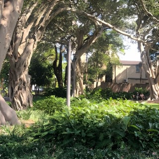 Recorrido histórico guiado a pie por Glebe 5