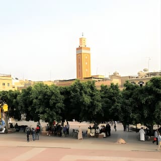Depuis Marrakech : Excursion d'une journée à Essaouira 13