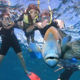 Great Barrier Reef Adventure 14