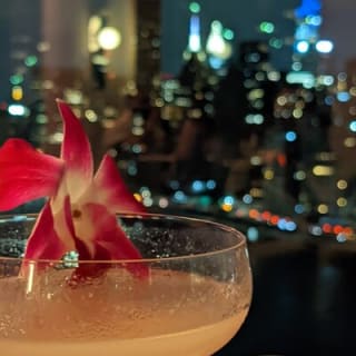NYC: Party at the Best Rooftops and Clubs in New York City 25